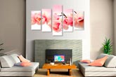 Magnolia roz 55800 Magnolia roz 55800