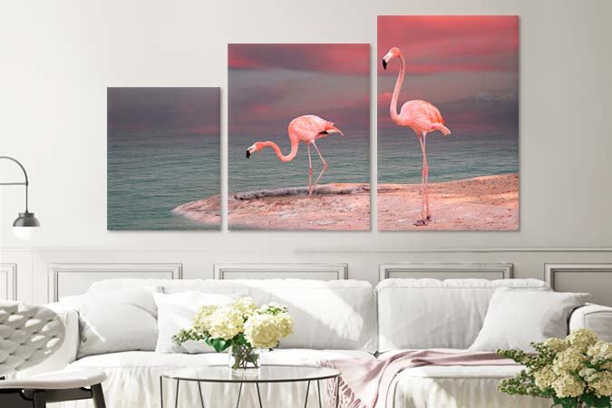 Flamingo birds 4769