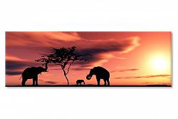 Africa Elephants 22924
