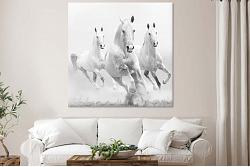 White horses 48121