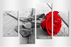 Red rose black and white 44983