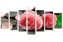 Trandafiri roz 5589