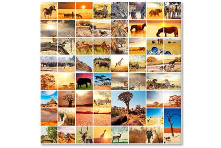 Wild Africa collage 3348