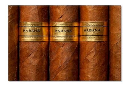 Havana 5622