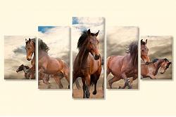 Horses 40236