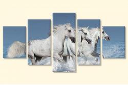 Horses 10469