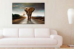 Elefant in Africa 6542