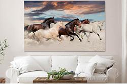 horses 44138