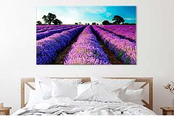 Tablouri Lavanda 26991