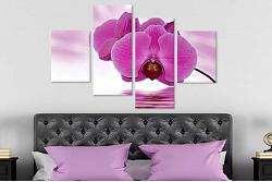 Tablouri Orhidee 40415