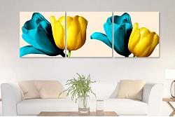 Tulips 22387