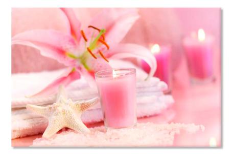 Relax pink spa 66546