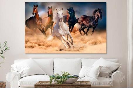 horses 60149