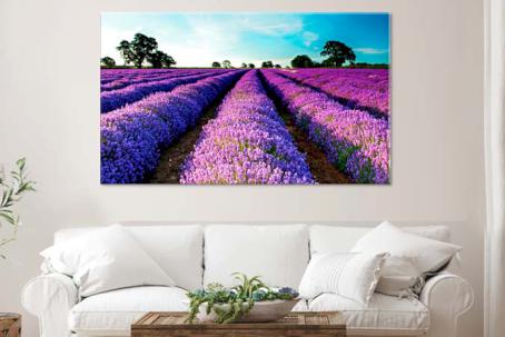 Tablouri Lavanda 26991