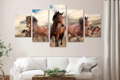 Horses 40236